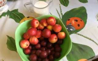 Компот из яблок, мяты и корицы на зиму