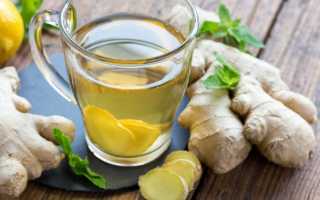 Immuno Drink (Защита иммунитета) «Лимон-имбирь» Yoo Gо, 8 пакетов