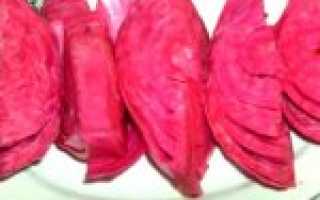 Капуста со свеклой на зиму: самые вкусные и простые рецепты приготовления