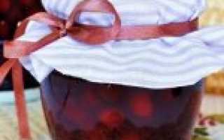Варенье из вишни с косточками на зиму — 9 простых рецептов вкусного и густого вишневого варенья